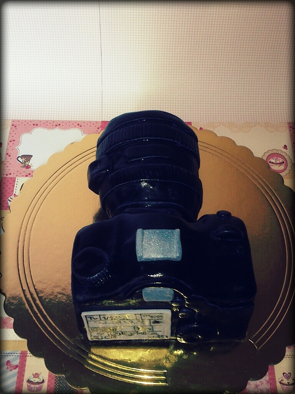 Мой пятый мастичный. Фотоаппарат.