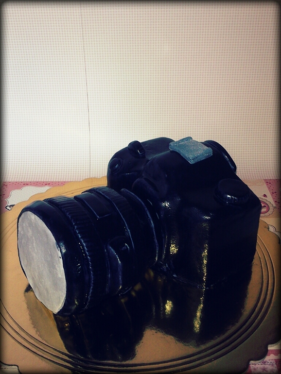 Мой пятый мастичный. Фотоаппарат.