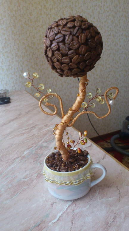 мой тапиарий .кофейное дерево счастья