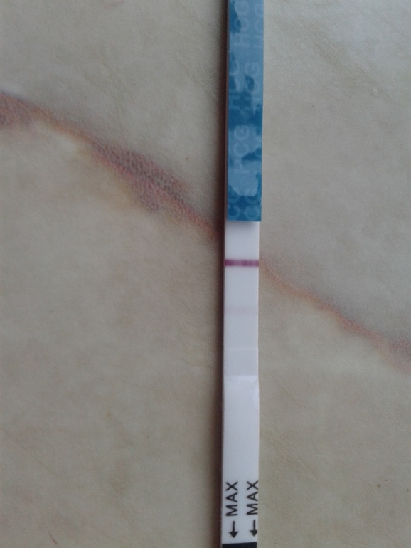 b788c86d65c2a20a4657c0a609ccdce6.jpg