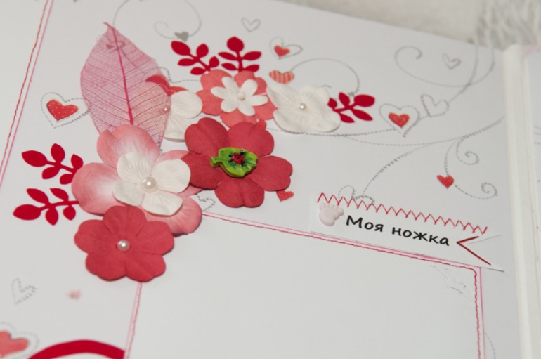 Альбом для Дианочки (очень много фото)))