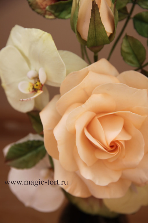 d369b3f9ad1be72a6fddf0842769d764.jpg