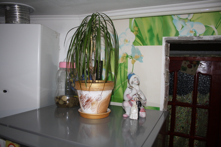 14e5846bcc1dc6ddbce3834e66e87340.jpg
