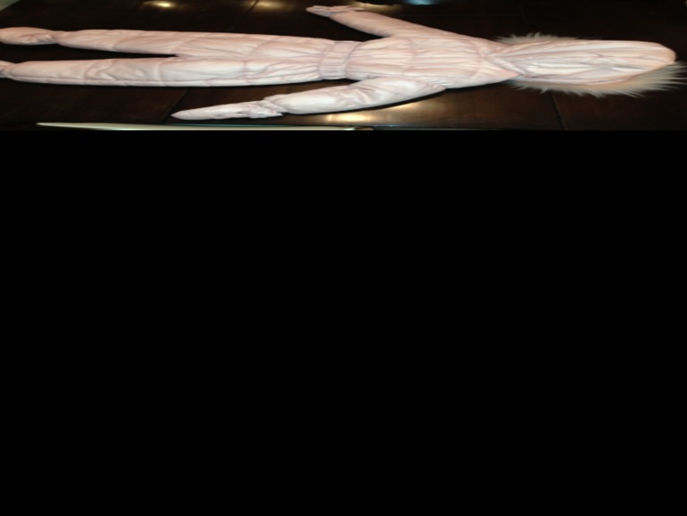 38ee21f913697cc6ad934a4928e46f0c.jpg