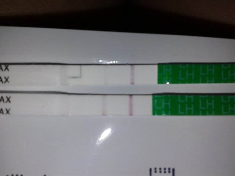 Тесты на овуляцию врут?