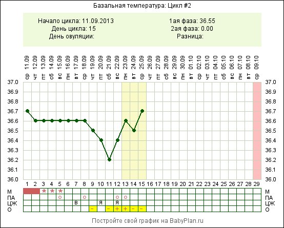 бЫЛА ЛИ ОВУЛЯЦИЯ???По узи не было.