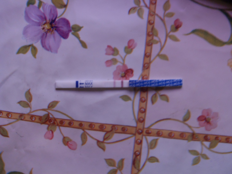 Девченки! Взгляните пожалуйста!!! Тест на второй день задержки HOMETEST;Это один и тот же результат просто на разном фоне)