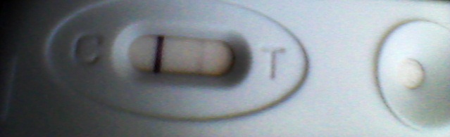 d13251d1f0d3144037fa094c0f3d41ed.jpg