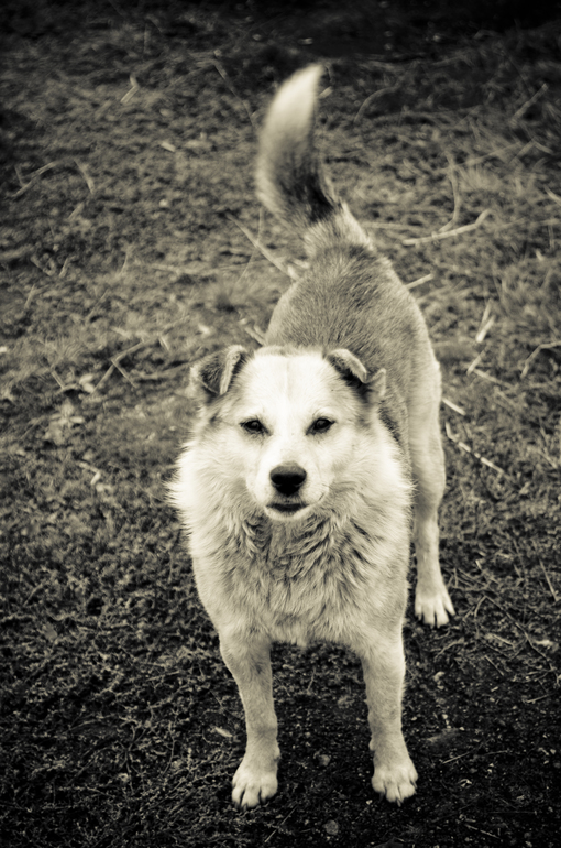 Немного из деревни