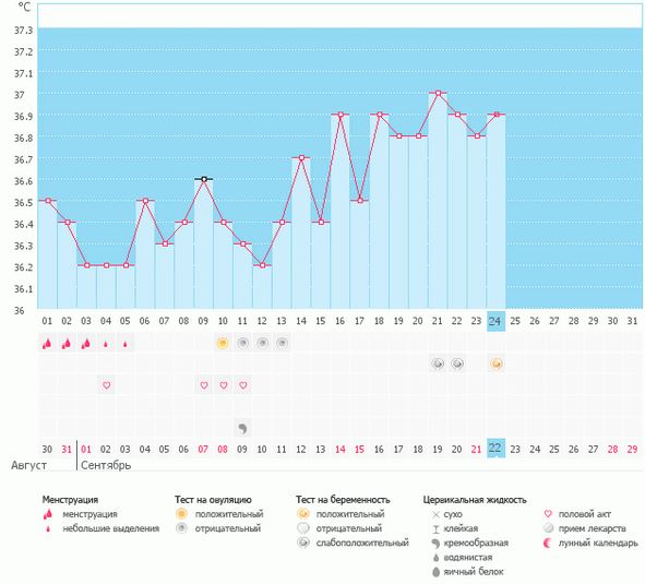 Вот такие пироги))