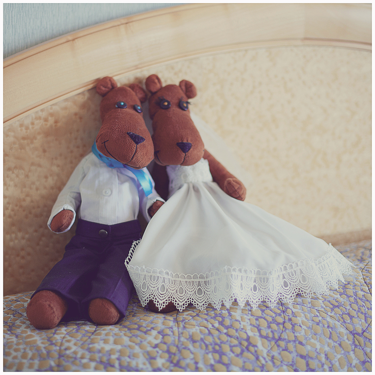 Мои свадебные львята!!!