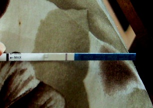 Призрак на тесте