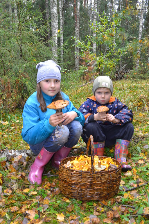 Грибное воскресенье