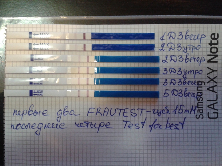 мои полосочки)))