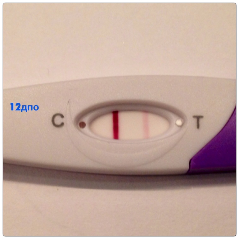 12 дпо!!!! Солнышко растет ттттттттттттт!!!!!!