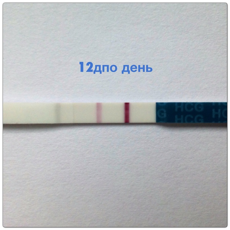 12 дпо день!!!! Тттттттт!!!!