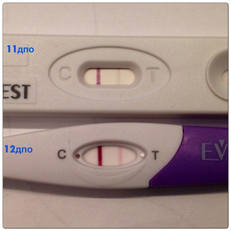 12 дпо!!!! Солнышко растет ттттттттттттт!!!!!!