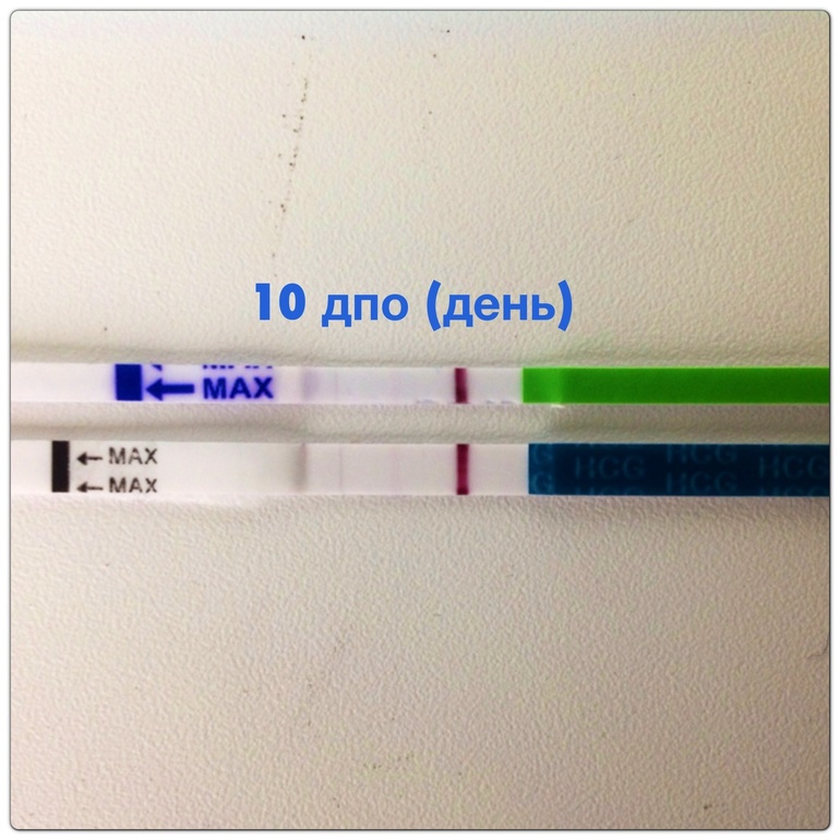 Фото теста на беременность после овуляции