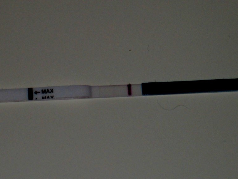 Тест соврал((