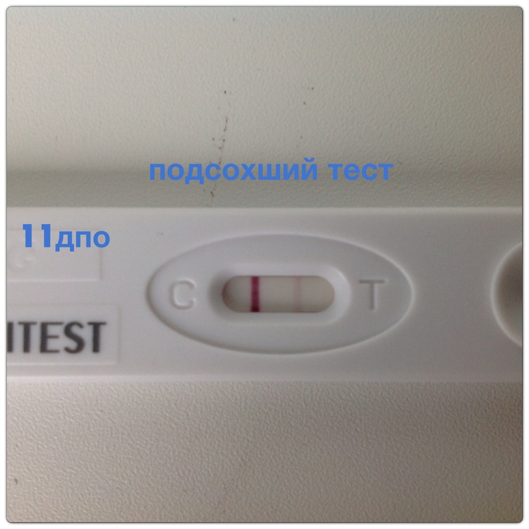 11 дпо!!!! ттттттт чудо мое растет!!!!