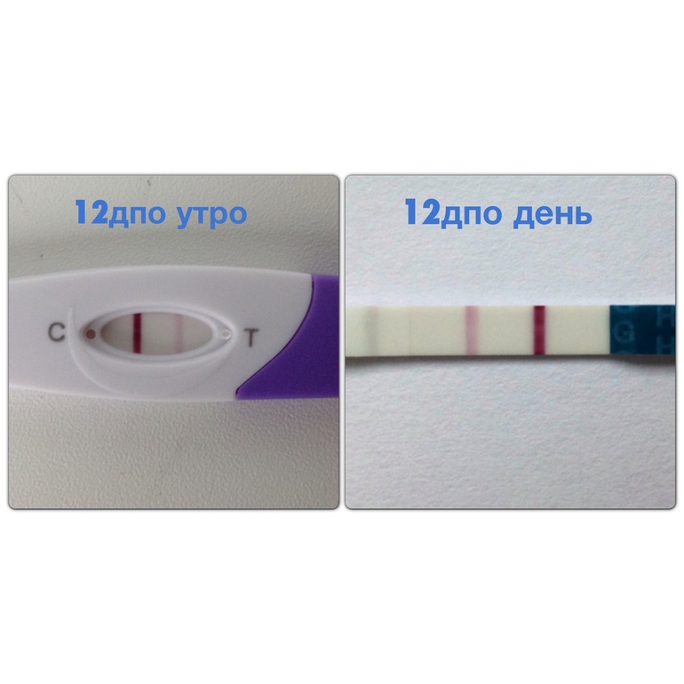12 дпо!!! Для тех кто ждет наши отчеты утром и днем!!!! ттттттттттт!!!!