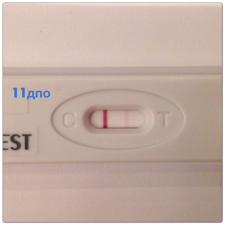 11 дпо!!!! ттттттт чудо мое растет!!!!
