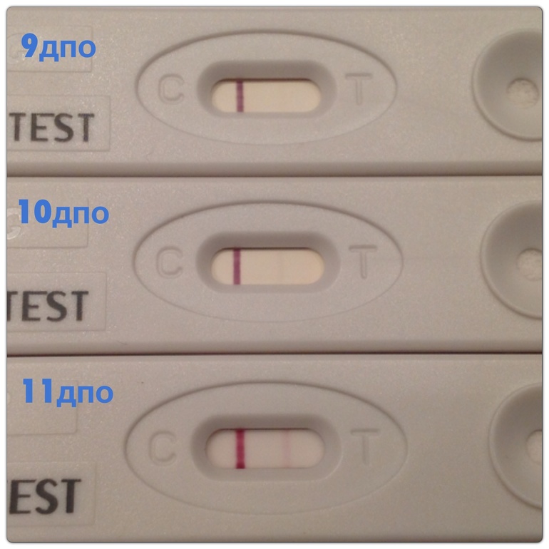 11 дпо!!!! ттттттт чудо мое растет!!!!