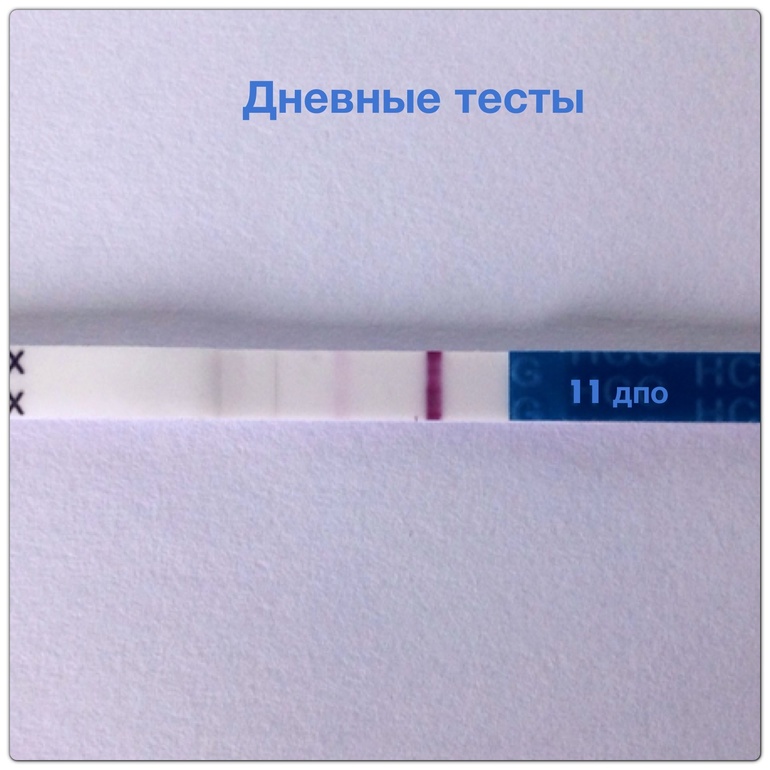 11 дпо дневные тесты!!! Мы растем ттттттт!!!!