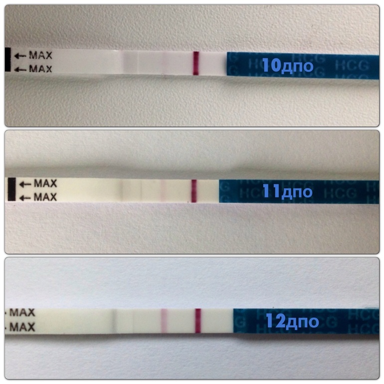 12 дпо!!! Для тех кто ждет наши отчеты утром и днем!!!! ттттттттттт!!!!