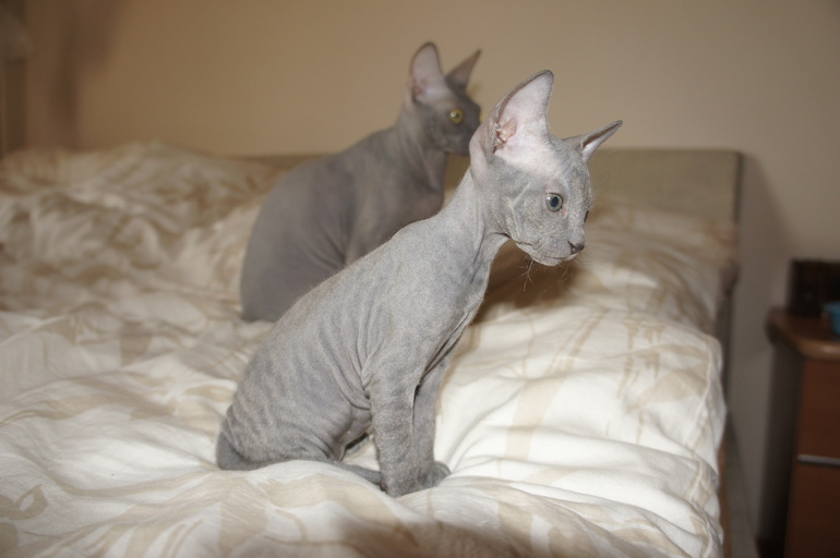 Печальное(((