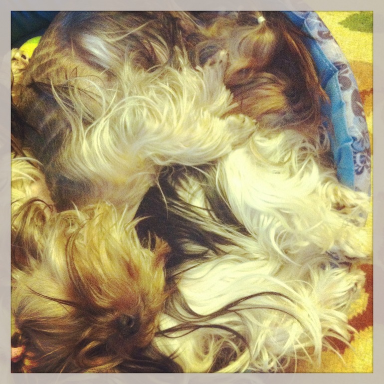 Совместный сон)))