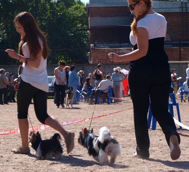 Хочу похвалиться нашей карьерой)