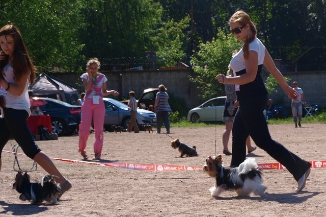 Хочу похвалиться нашей карьерой)