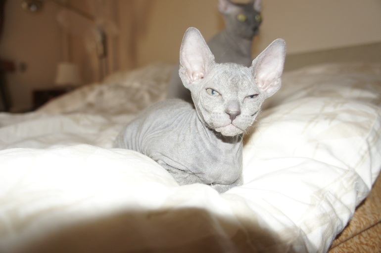 Печальное(((