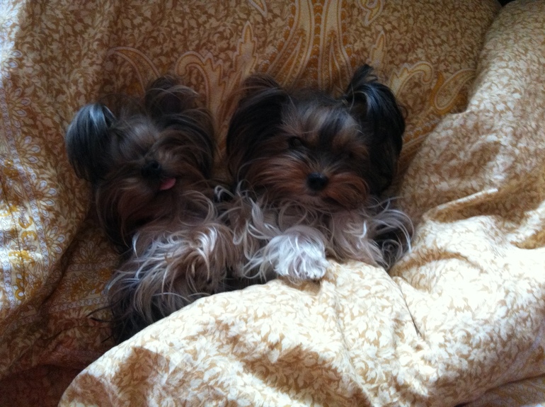 Совместный сон)))