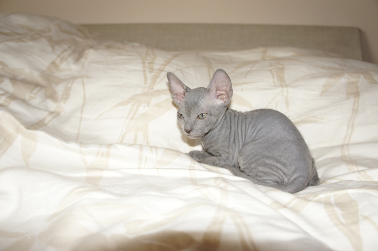 Печальное(((