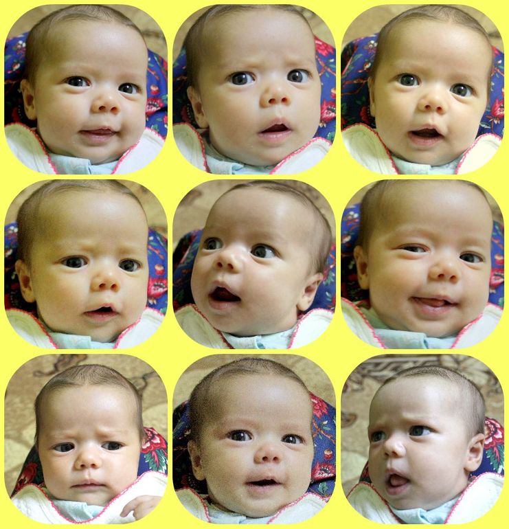 93575f1e8624ac0a92fc0b496bc8ace0.jpg