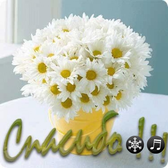 bd70a2d51cfc480f32143f21646c402a.jpg