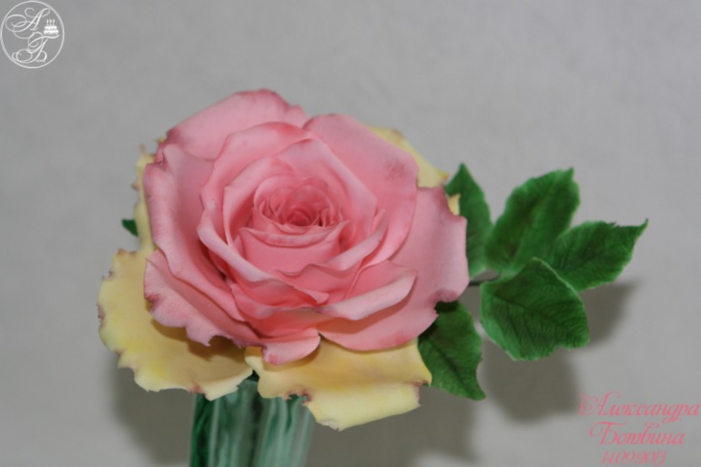 Моя первая самостоятельная роза,после курсов У Алены Орловой!!!