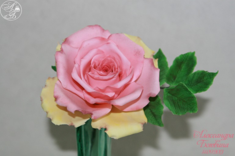 Моя первая самостоятельная роза,после курсов У Алены Орловой!!!