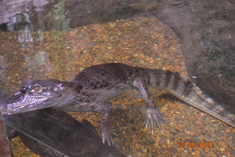 Наше 8 летие.