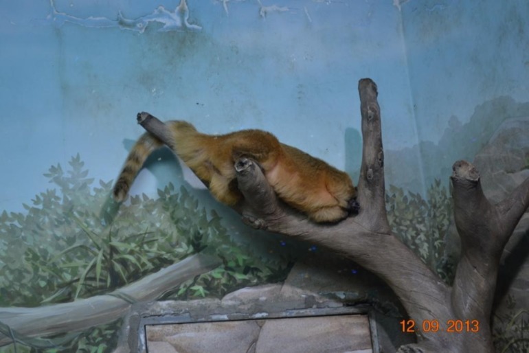 Наше 8 летие.