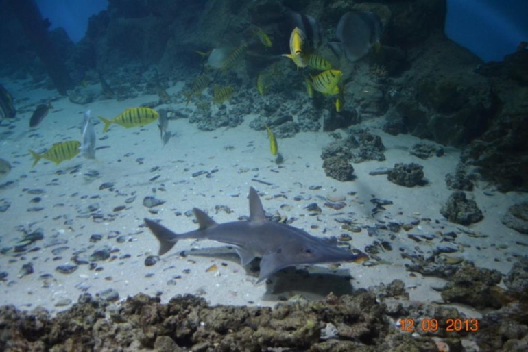 Наше 8 летие.