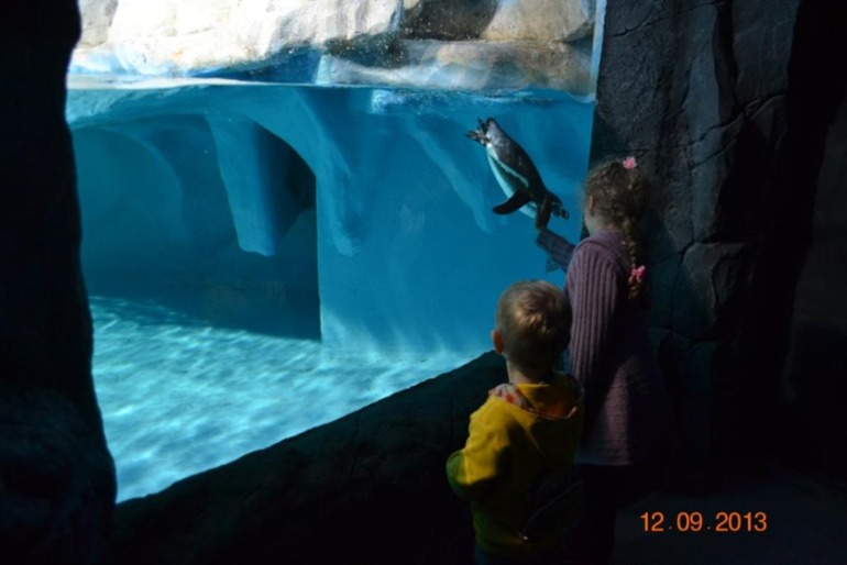 Наше 8 летие.