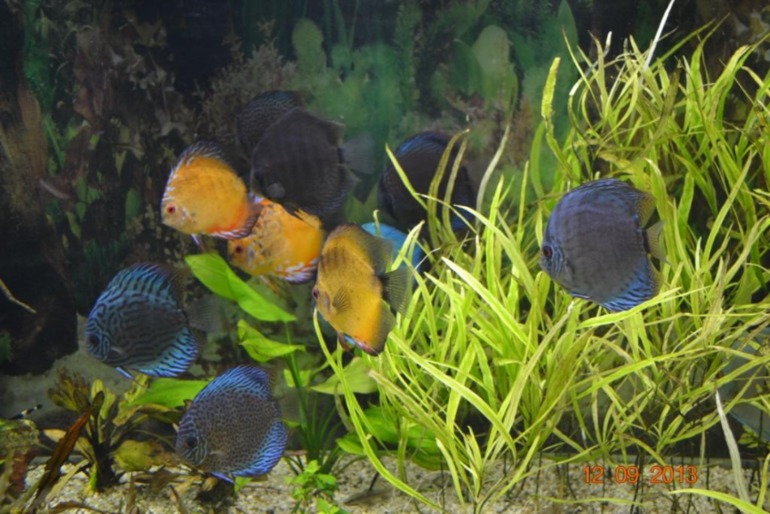 Наше 8 летие.