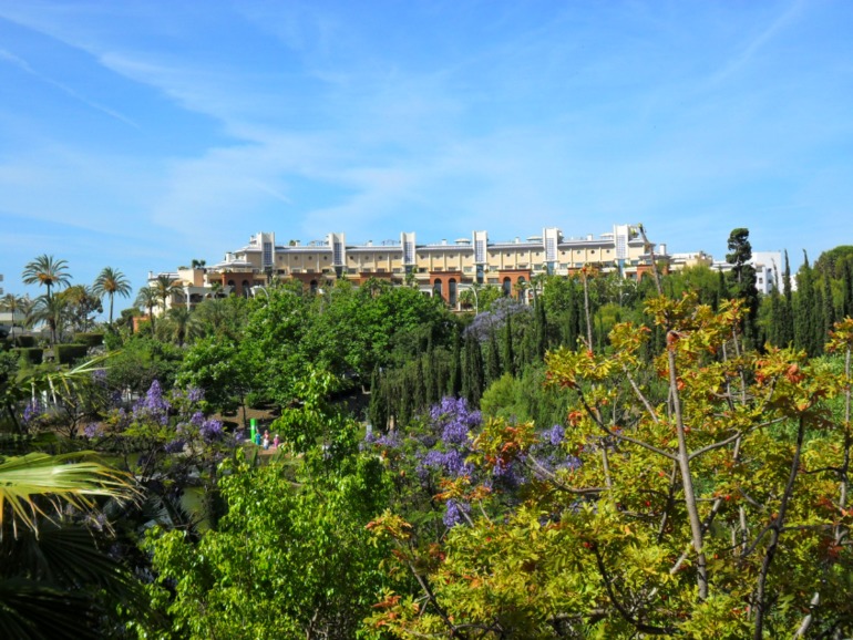 Наша дель Соль