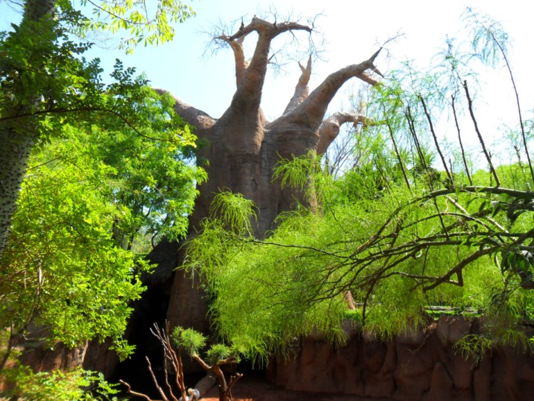 Наша дель Соль