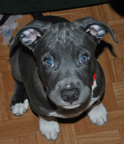 мечты, цели, вредные привычки и прочее!