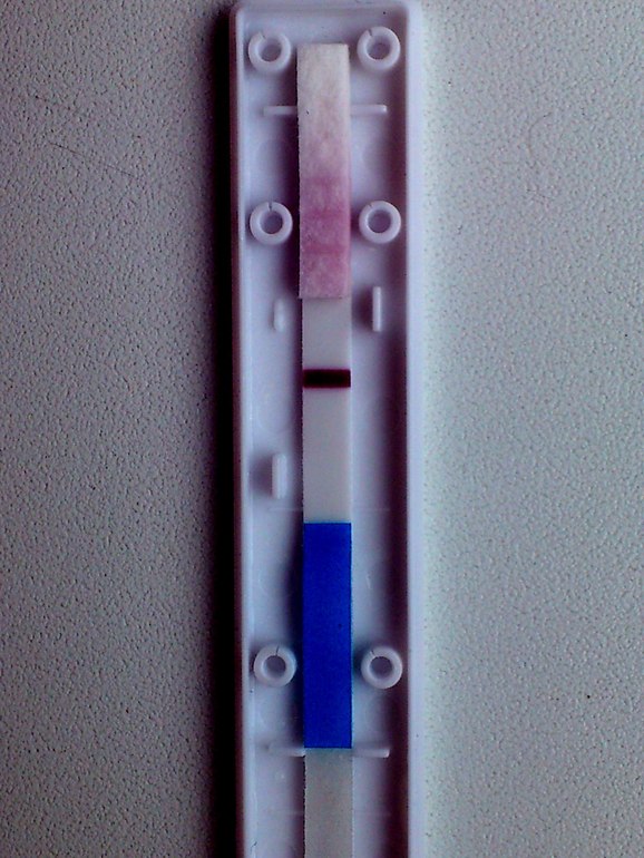 Ну вот тесты 8, 9 ,10 ДПО! Пролет или есть надежда?