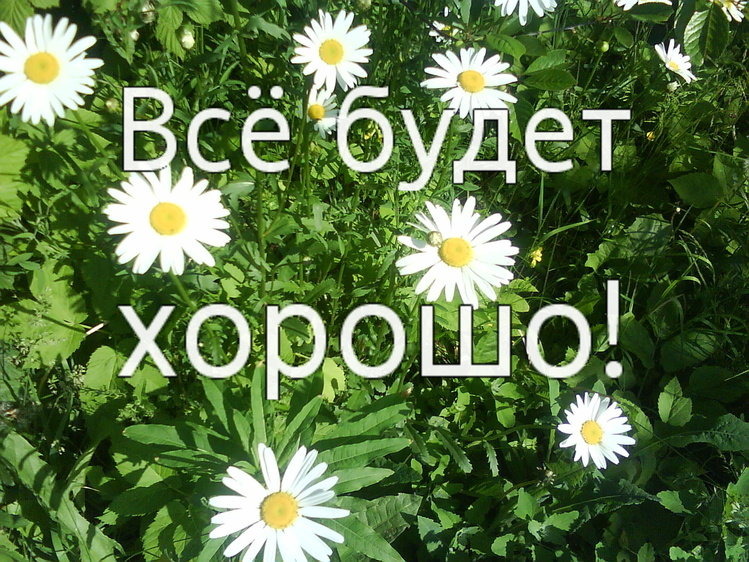 dbd5f9983f8cb39d6f6ca845bc55ae22.jpg
